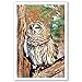 OWLS postcard set of 20 postcards. Post cards depicting various species of owls. Made in USA.