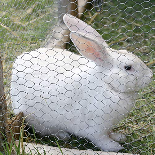 Amagabeli Verzinkter Maschendrahtzaun 1m x 25m | 100cm Höhe | 0,7mm Drahtstärke | 13mm Sechseck-Maschen | Für Hühnerzaun, Kaninchengehege & Gartenschutz⠖ Bild 7