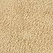 Garland Rug Jazz Nylon Washable 3 Piece Set (Lid, Contour, 21