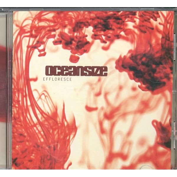 欧2LP Oceansize Everyone Into Position BBQ244LP2 Beggars Banquet /00520 Oceansize - Everyone Into Position | Banquet Records