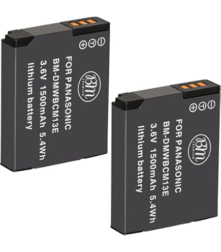 Amazon.com : Kastar Lithium Ion Battery for Panasonic Lumix DMC