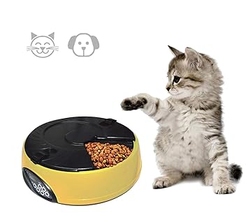 Amazon Com Acazon Automatic Pet Feeder Dispenses Dog Food Or Cat