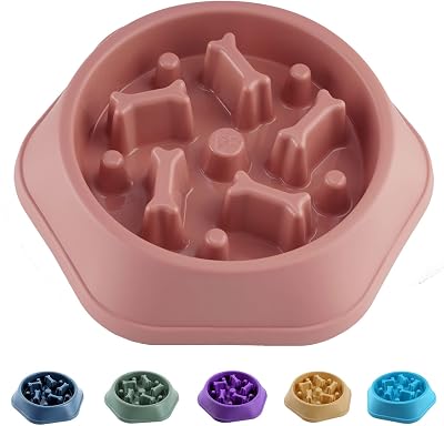 CAISHOW Slow Feeder Dog Bowl for Small Medium Dogs Non Slip Base