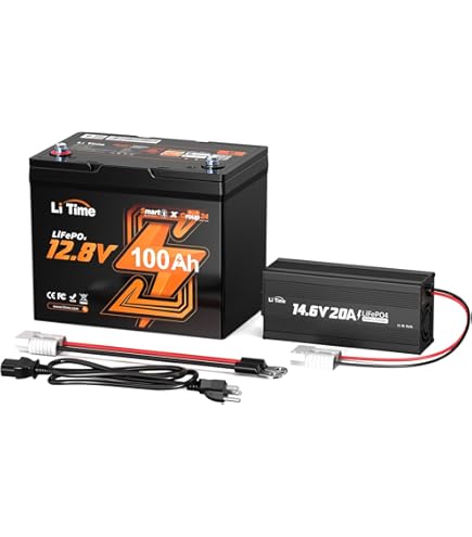 Amazon.com: LiTime LiFePO4 Battery 12V 100Ah Built-in 100A BMS