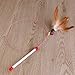 TINKSKY Kitten Cat Pet Toy Wire Chaser Wand Teaser Plumage with Bell Beads Play Fun Gifts for Your Lovely cat (Random Colour)