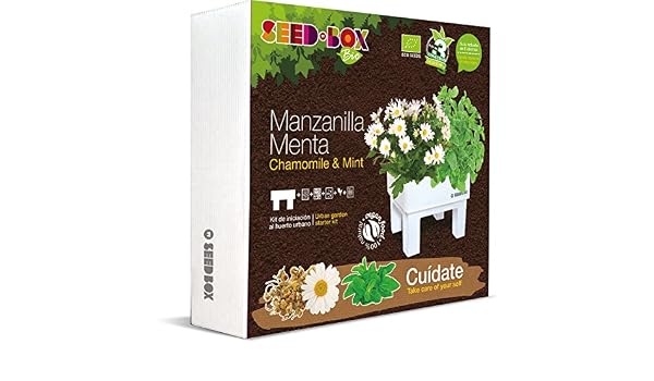 SeedBox SBBICU - Kit huerto urbano de manzanilla y menta: Amazon ...