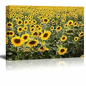 Canvas Prints Wall Art - Beautiful Scenery/Landscape Large Sunflower Field | Modern Wall Decor/Home Decoration Stretched Gallery Canvas Wrap Giclee Print & Ready to Hang - 12" x 18"