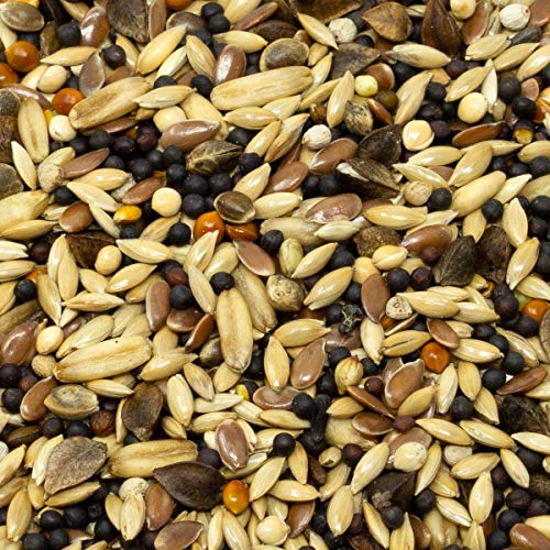 Leimüller Vogelfutter Wildvögel Ganzjährig 25Kg (Waldvogelfutter) - Premium Wildvogelfutter mit extra Sämereien â feines Ganzjahresfutter - Streufutter für Waldvögel 25kg Staubfrei – Bild 4