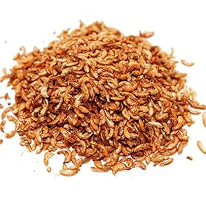 algova Gammarus gamberetti d'Acqua Dolce essiccati - Pesce Cibo Pesci Pesci Rossi Pesci di Stagno Koi - Cibo Tartarughe… algova algova Gammarus gamberetti d'Acqua Dolce essiccati - Pesce Cibo Pesci Pesci Rossi Pesci di Stagno Koi - Cibo Tartarughe…