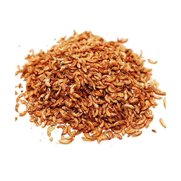 algova Gammarus gamberetti d'Acqua Dolce essiccati - Pesce Cibo Pesci Pesci Rossi Pesci di Stagno Koi - Cibo Tartarughe… algova algova Gammarus gamberetti d'Acqua Dolce essiccati - Pesce Cibo Pesci Pesci Rossi Pesci di Stagno Koi - Cibo Tartarughe…