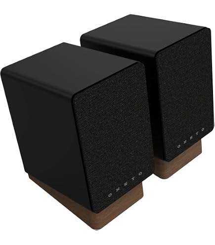 Amazon.com: B&W Computer Speakers (MM1) : Electronics