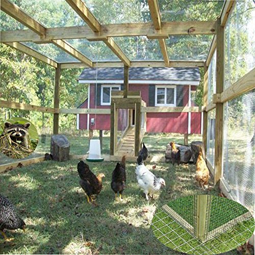 Welded Hardware Cloth 1/4 inch Square Galvanized Chicken Wire 48x50