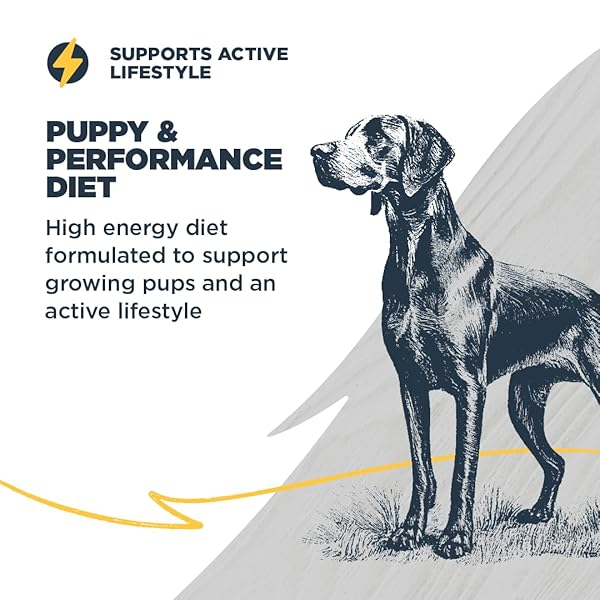 BLACKWOOD PUPPY & PERFORMANCE DRY DOG FOOD, CHICKEN MEAL WITH ANCIENT GRAINS, 4.5 POUND BAG FOR GROWING & WORKING DOGS, SUPPORTS ACTIVE LIFESTYLE