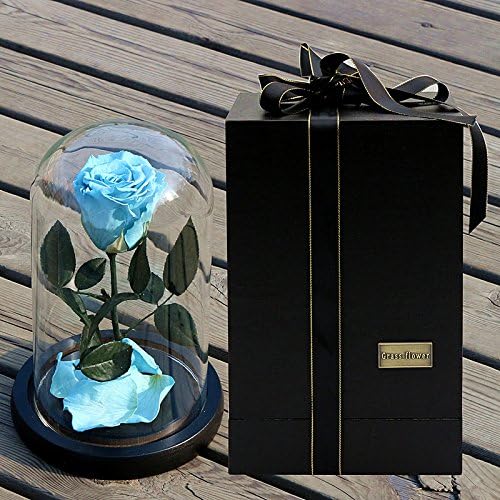 Aimell Preserved Flower Forever Natural Fresh Rose In Glass Dome Cover (Sky Blue)
