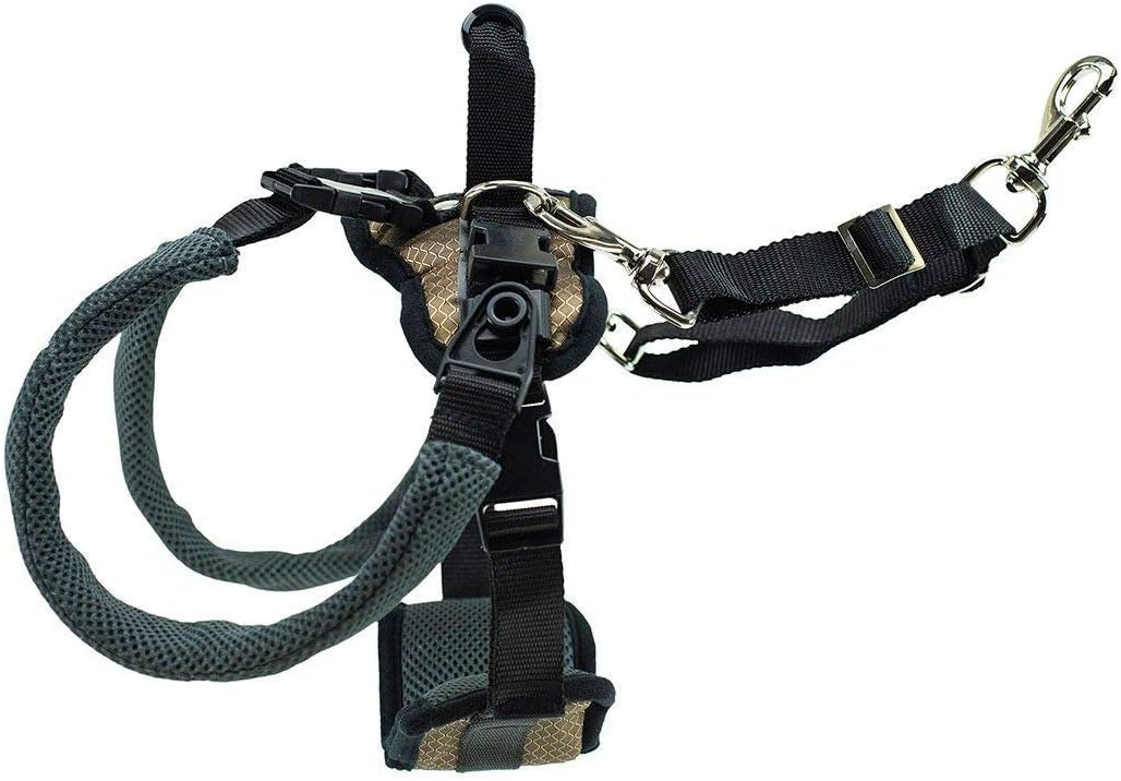 PetSafe CareLift Rear Support Harness, Lifting Aid with Handle, Great for Pet Mobility and Older Dogs, Comfortable - Image 5
