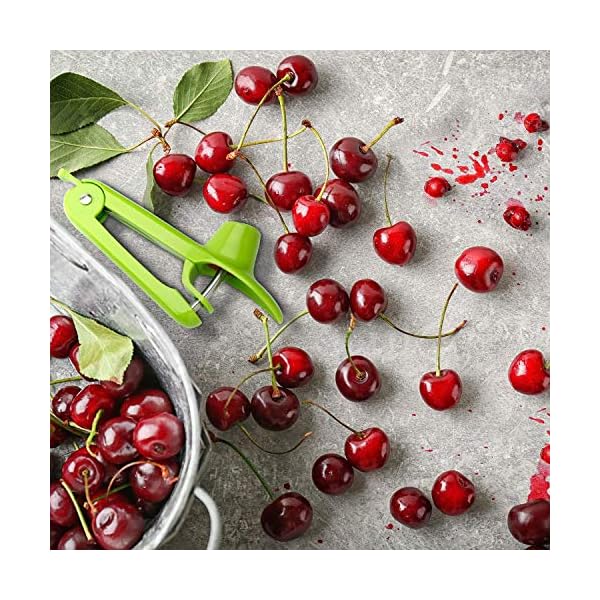 MEETOZ-Cherry-Pitter-RemoverCherry-Fruit-Kitchen-Olive-Core-Remove-Pit-Tool-Seed-Gadget-Stoner-Corer-Pitter-RemoverPortable-Cherry-Pitter-Tool-Kitchen-aid-with-Space-Saving-Lock-Design-Green MEETOZ Cherry Pitter Remover,Cherry Fruit Kitchen Olive Core Remove Pit Tool Seed Gadget Stoner Corer Pitter Remover…