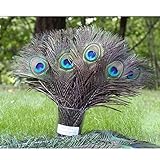 High Quality Natural Peacock Feathers 10