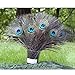 High Quality Natural Peacock Feathers 10"-12"