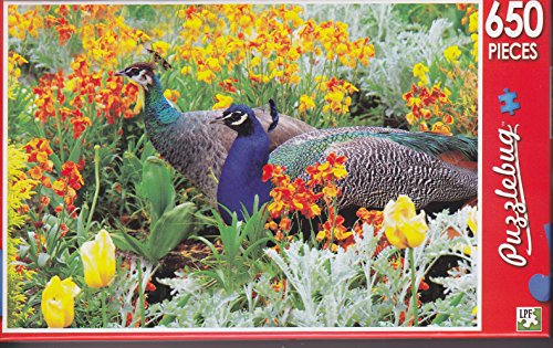 650 Piece Jigsaw Puzzle ~ Peacock in a Flowerbed