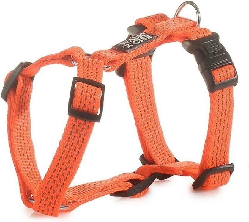 walk r cise harness small