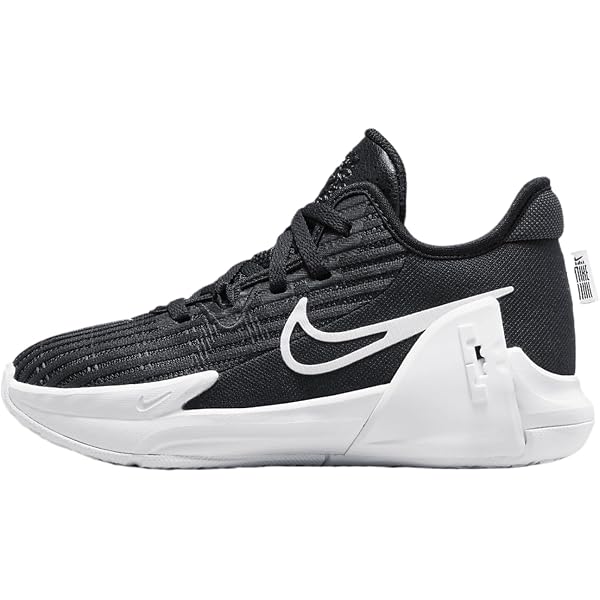 Amazon.com | Nike Lebron Witness VI TB  display picture 1