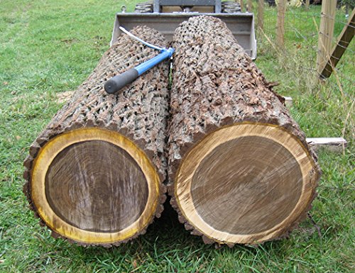 Black Walnut Boards. 3/4" x 4" x 12" (2 pack). Amish Milled - Thumbnail 4