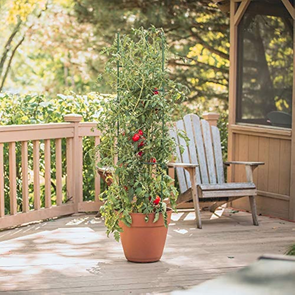 Gardener&39s Blue Ribbon 3Pack Ultomato Tomato Plant Cage