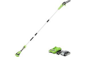 Greenworks 24V 8" Pole Saw, 2Ah Battery and Charger Included PS24B210