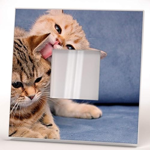 Amazon Com Red And Gray Little Cat Adorable Kitten Wall Framed Mirror Decor Printed Art Home Room Design Gift Handmade