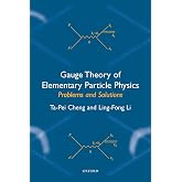 Gauge Theory of Elementary Particle Physics: Problems and Solutions