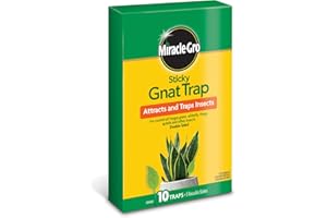 Miracle-Gro Sticky Gnat Trap, 10-Pack