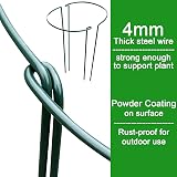 MUAEEOK 6 Pack Plant Support Stakes 30x50cm Half Round Cage view 5