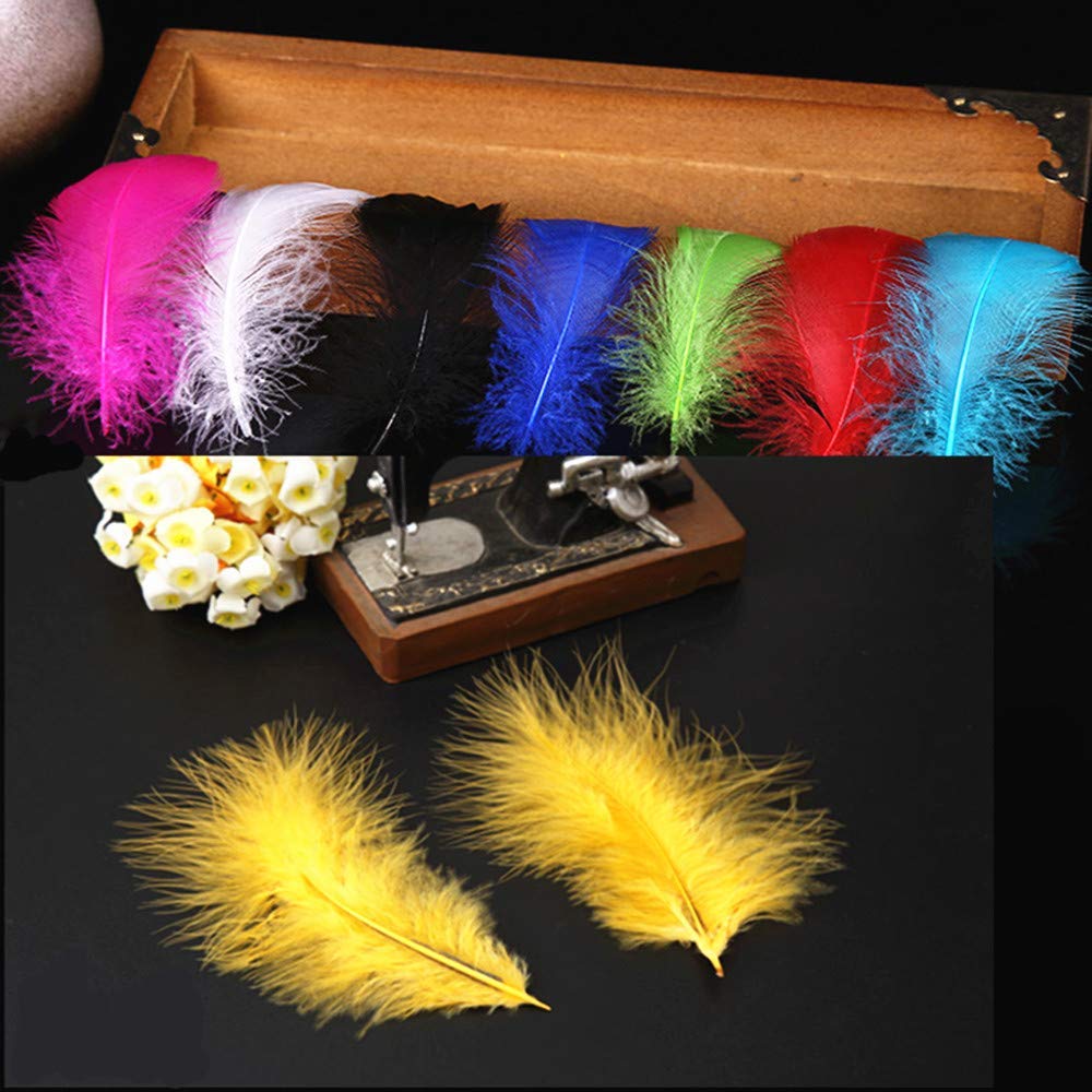 Rgargga Plumes Colorées, 250pcs Naturel Multicolore Plume Décoration pour DIY Arts Crafts, Idéal pour Costumes, Chapeaux, Décoration d\'intérieur Fete Mariage Anniversaire