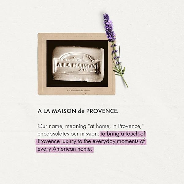 A LA MAISON FRENCH LIQUID HAND SOAP REFILL – NATURAL HAND WASH MADE WITH ESSENTIAL OILS – BIODEGRADABLE, PLANT-BASED, VEGAN, CRUELTY-FREE (33.8 FL OZ POUCH (2 PACK), LAVENDER ALOE)