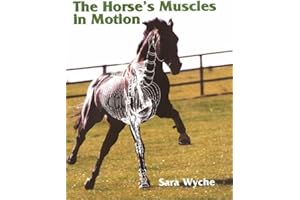 The Horse's Muscles in Motion