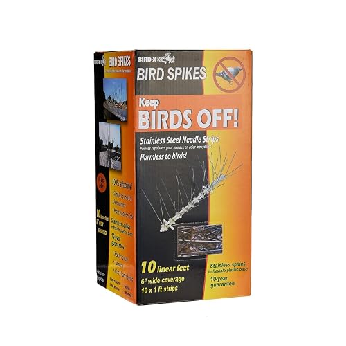 Bird-X Stainless Steel Spikes Kit, 6-inch Regular Wide Spikes, Bird ...