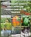 GREENHOUSE TOMATO AND CAPSICUM PRODUCTION IN THE TROPICS: A DEFINITIVE AND PRACTICAL GUIDE FOR AGROPRENEURS by 