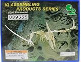IQ Assembling Products Series Balsa Wood 3D Puzzle Pteranodon