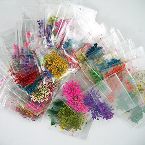 A_Grade Real Flower Dried Flower Assorted Styles Nail Art Dry Flower Spiraea Ammi majus Pressed Flower for Nail Art Decoration (10packs(60pcs))
