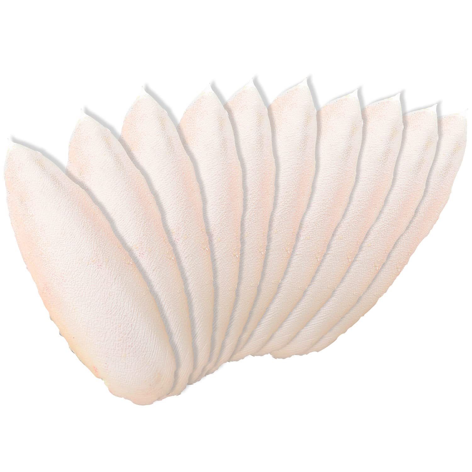 Newsmy 10 Pack Cuttlefish Bone for Birds, Natural Cuttlebone for Parrots and Budgies, Calcium Chew for Beak Care, Suitable for Snails and Tortoise [10Pcs 10CM]