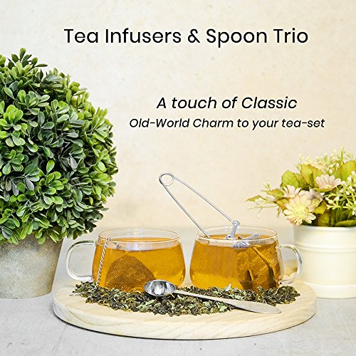 image for VAHDAM, Perfect Serve Tea Spoon | Stainless Steel Tea Scoop | PERFECT 