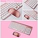 2.4GHz Wireless Keyboard and Mouse Combo, URCO Upgraded 102 Keys Full Size Low-Noise Portable Wireless Keyboard and Mouse for Working and Gaming (Rose Gold)