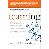 Teaming: How Organizations Learn, Innovate, and Compete in the Knowledge Economy