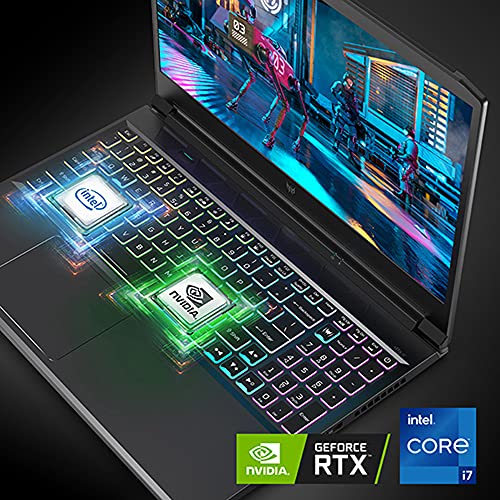 Acer Predator Triton 300 PT315-53-7691 Gaming Laptop | Intel i7-11800H | NVIDIA GeForce RTX 3070 Laptop GPU | 15.6