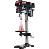 BUCKTOOL 12-Inch Benchtop Drill Press, 580-3200 RPM, 6.2A 3/4 HP Motor | 2-Inch Spindle Travel, 1/32-5/8-Inch Keyed Chuck, 360&deg;/45&deg; Drill Press Table, Class IIIA 2.5mW Laser and Work Light