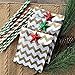 Outside the Box Papers Black and Gold Chevron Treat Sacks 5.5 x 7.5 48 Pack Black, Gold, White