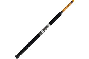 Ugly Stik Bigwater Spinning Fishing Rod