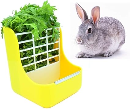 Amazon Com Sxbest 2 In 1 Food Hay Feeder For Guinea Pig Rabbit
