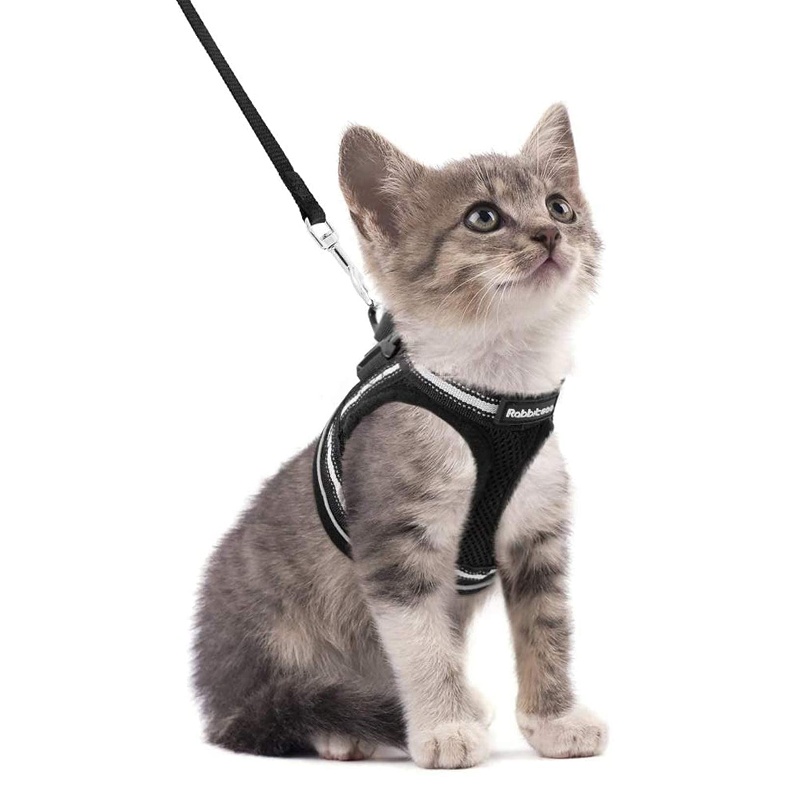 Photo 1 of rabbitgoo Cat Harness and Leash Set for Walking Escape Proof, Adjustable Soft Kittens Vest with Reflective Strip for Cats, Comfortable Outdoor Vest, Black, S