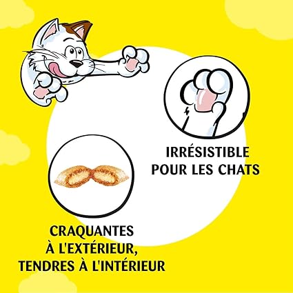 Catisfactions Friandises Pour Chat Gout Fromage Recompenses Pour Chats Adultes Et Chatons Pack De 6 Sachets De 60 G Amazon Fr Animalerie